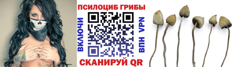 Галлюциногенные грибы ЛСД  мориарти формула  Чегем 